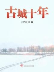 探寻古城脉搏