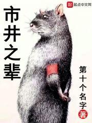 市井之辈怎么样