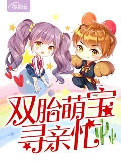 双胞胎寻亲记
