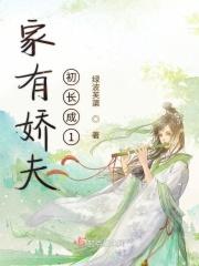 家有娇夫 作者沉爱