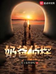 电视剧 奶爸