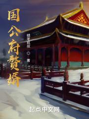 国公府赘婿无删节