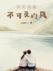 你是我遥不可及什么歌