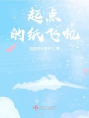 纸飞机实体书