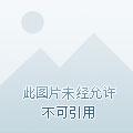绝代女王爷作者清风逐月