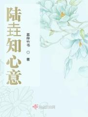 书名知我意作者局部大雨