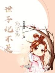 世子妃百科