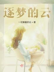 逐梦的雨