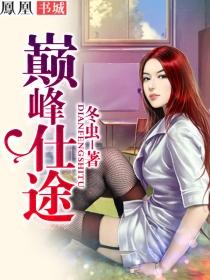 巅峰仕途笔记叶正刚TXT