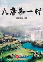 大唐第一村席云飞全本