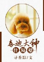 泰迪在房间快速的跑来跑去