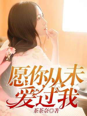 愿你从未爱过我免费阅读小艾