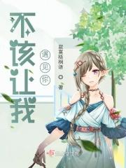 我就不该遇见你