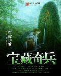 奇兵夺宝4