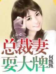 总栽妻子惹不起