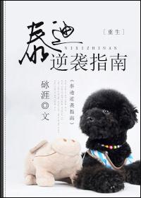泰迪逆袭指南大概内容