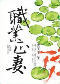 职业政客是什么意思