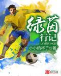 绿茵奇迹怎么样