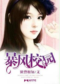 暴风学院