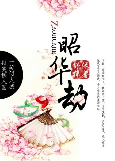 昭华劫讲的什么