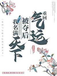 重回气运气运被夺后我名满天下
