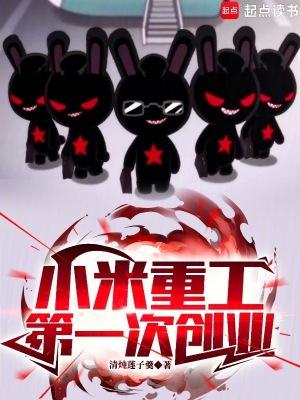 小米重工第一次创业笔趣阁