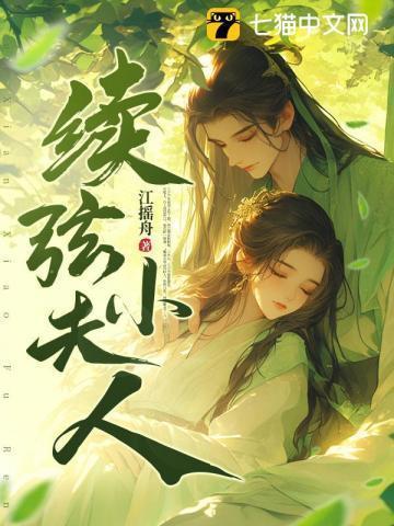 续弦小夫人免费观看