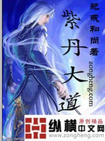 紫陶大道在哪里