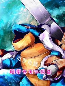 宝可梦对战