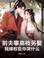 前夫高攀不起灵三少