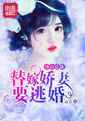 冰山总裁的替嫁新娘