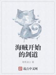 海贼剑术划分