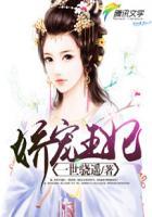 娇宠王妃九斛珠完整版