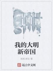我的大明新帝国续集