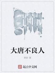 大唐不良人书评