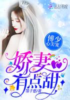 免费阅读全本傅少的心尖爱妻目录