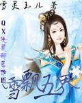 飘雪aⅴ