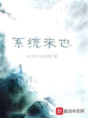 系统bi
