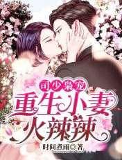 司少枭宠重生小妻火辣辣时间煮雨