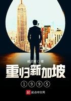 重生新加坡豪1995