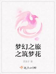 梦幻之旅阅读