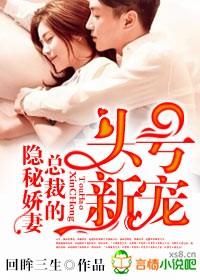 总裁的隐婚前妻全本免费阅读
