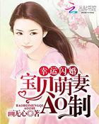 闪婚甜妻宝贝宠你上瘾