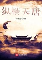 纵横天成 zh-sdizf0808