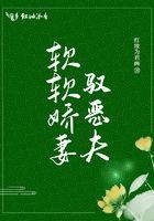 软软娇妻驭恶夫同类型