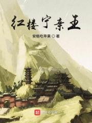 红楼梦宁国府关系图