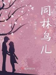 同林鸟打一动物