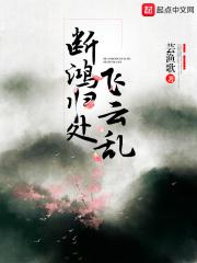 断鸿归处飞云乱什么意思