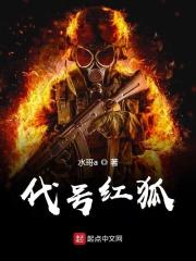 代号灵狐